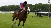 Queen Elizabeth’s horse King’s Lynn will not run at the Curragh
