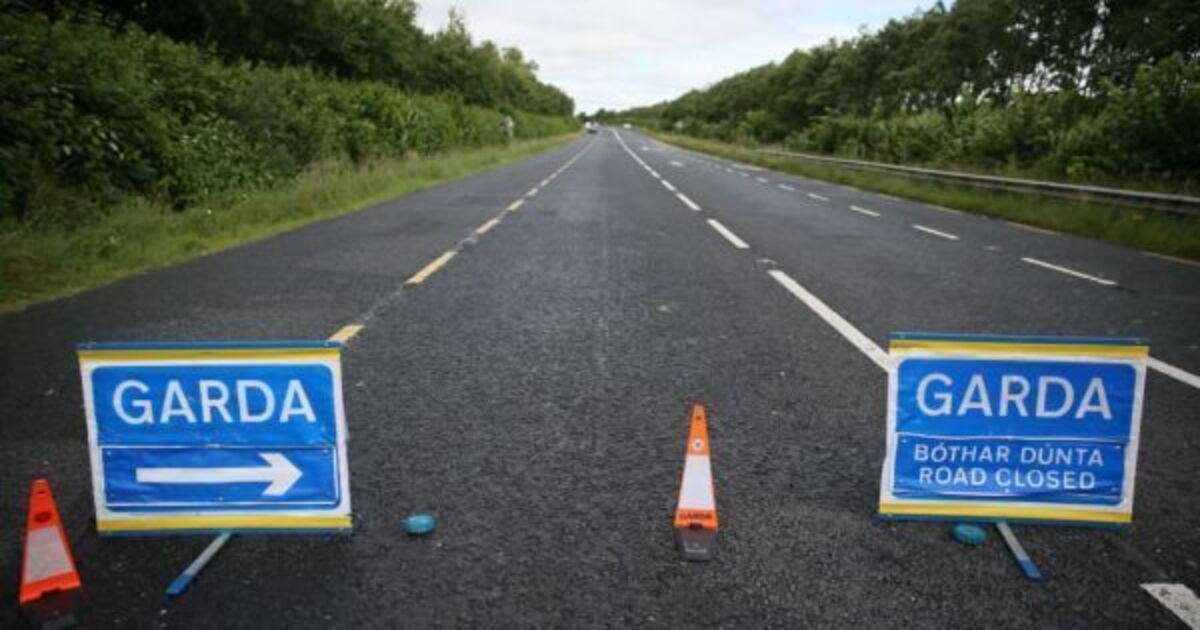 Two children dead and woman injured in car fire in Co Westmeath - Vimarsana News