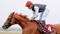 Kyprios makes class count in Irish St Leger