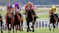 Al Riffa and McMonagle shine in National Stakes