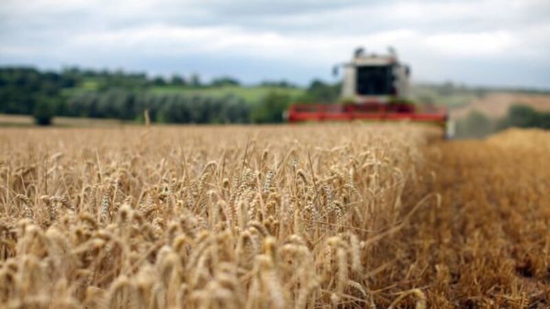 Feed prices for agriculture up by 34.2% with knock on effect on food prices
