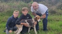 Cork Draghunting: Day to remember for Griffin United