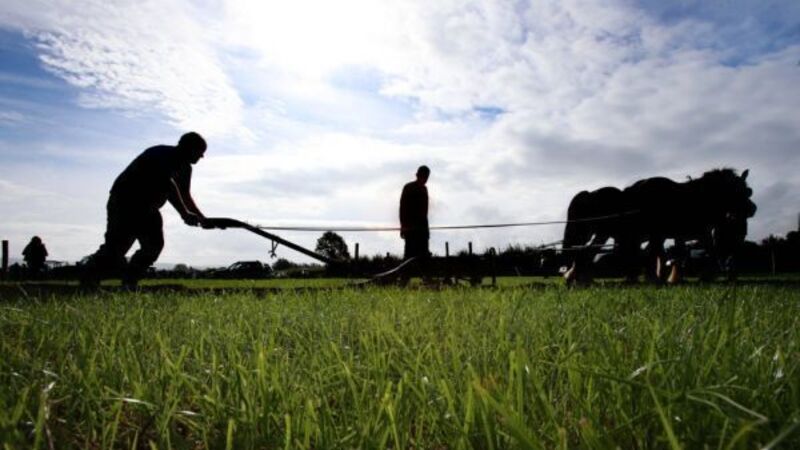First day of Ploughing Championships draws crowd of 91,500 people First day of Ploughing Championships draws crowd of 91,500 people