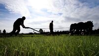 First day of Ploughing Championships draws crowd of 91,500 people