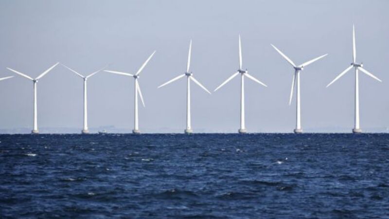 AIB survey: 23% of businesses say they are not operating sustainably