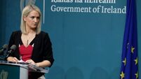 'Sinister' figures leading young people into crime, says McEntee