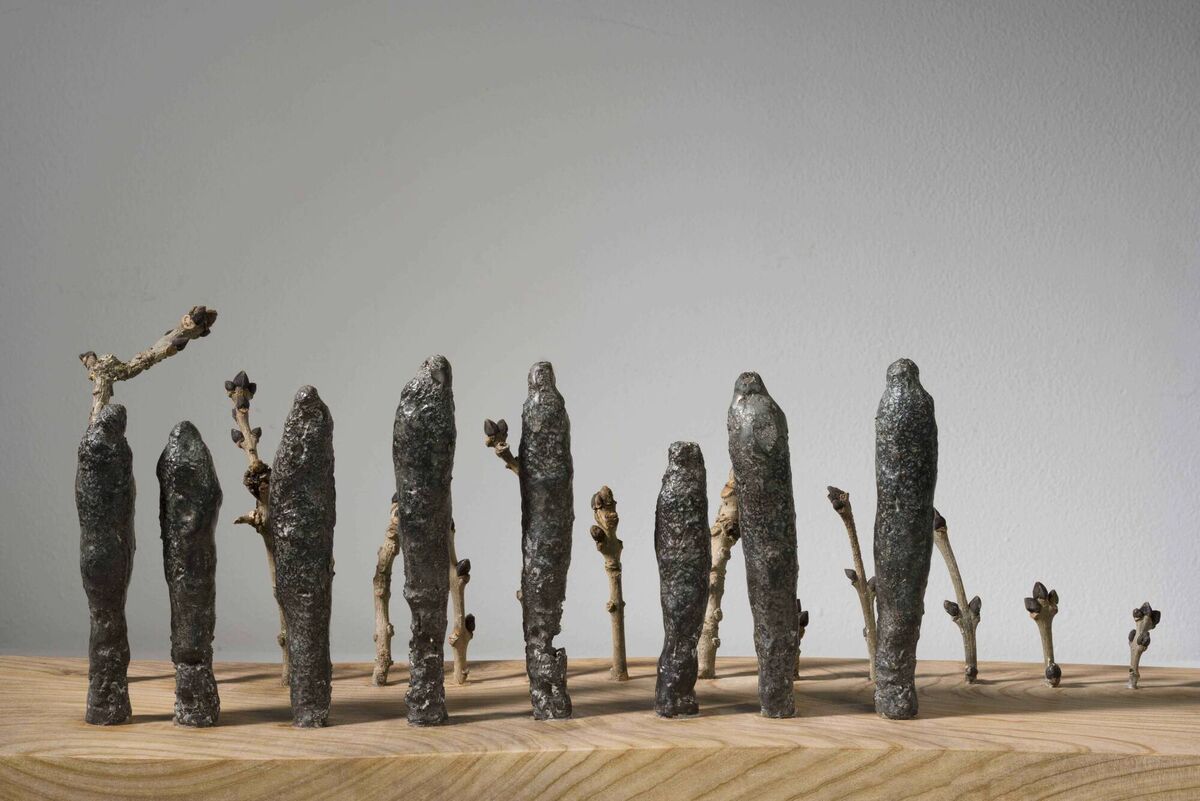 Helle Helsner, Ancestral Lines, 022 Bronze and ash twigs twigs on macrocarpa base.