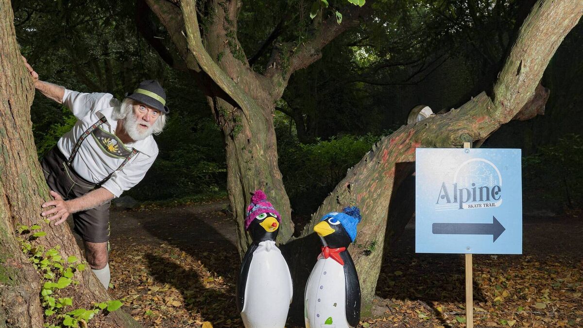 Get your skates on! Ice rink and trail returns to Fota