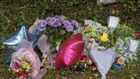 Drew Harris: Responding to children’s deaths places heavy burden on gardaí