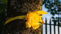 Road-widening plans prompt ribbon protest on Boreenmanna Road