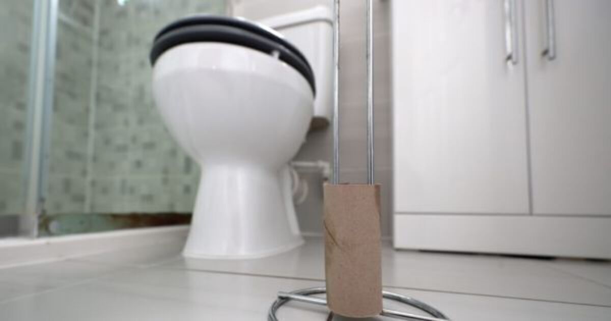 One million flush unsuitable items down their toilet in Ireland, survey finds - Vimarsana News