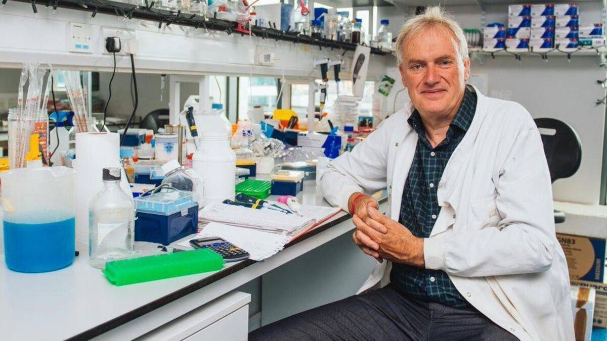 Public shouldn’t worry about surge of viruses, says expert