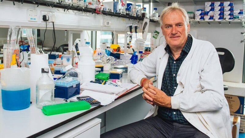 Public shouldn’t worry about surge of viruses, says expert