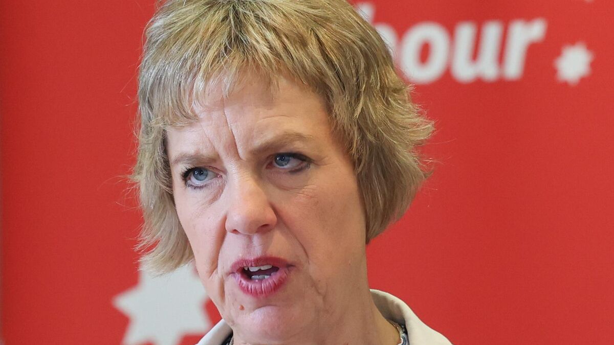 Rental tax credit 'still a drop in the ocean for renters' says Labour leader