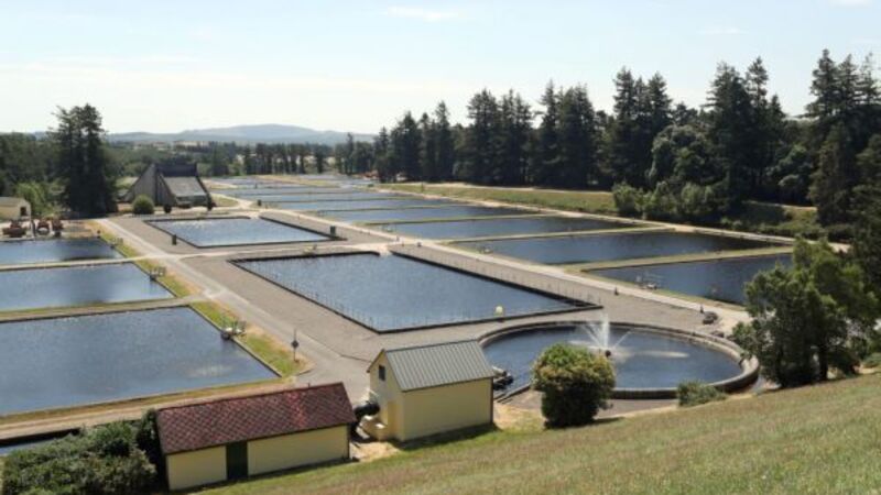 Serious incidents at water treatment plants put almost 900,000 people at risk Serious incidents at water treatment plants put almost 900,000 people at risk