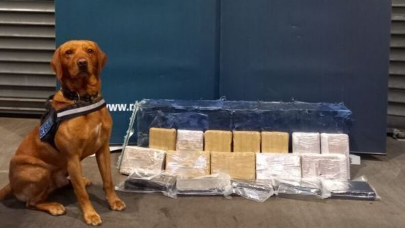 Two arrested after cocaine worth €1.2m seized at Dublin Port Two arrested after cocaine worth €1.2m seized at Dublin Port