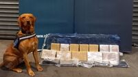 Two arrested after cocaine worth €1.2m seized at Dublin Port