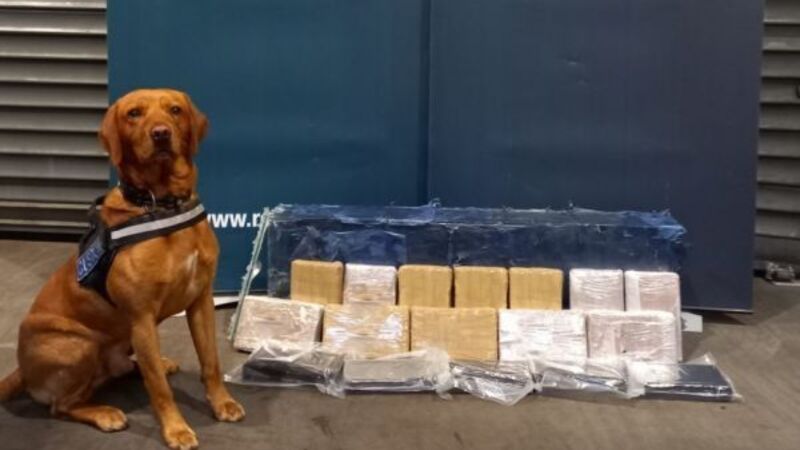 Tipperary man (54) in court over €1.26m cocaine seizure at Dublin Port Tipperary man (54) in court over €1.26m cocaine seizure at Dublin Port