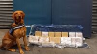 Tipperary man (54) in court over €1.26m cocaine seizure at Dublin Port