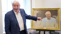 New portrait of Sir David Attenborough donated to wildlife conservation charity