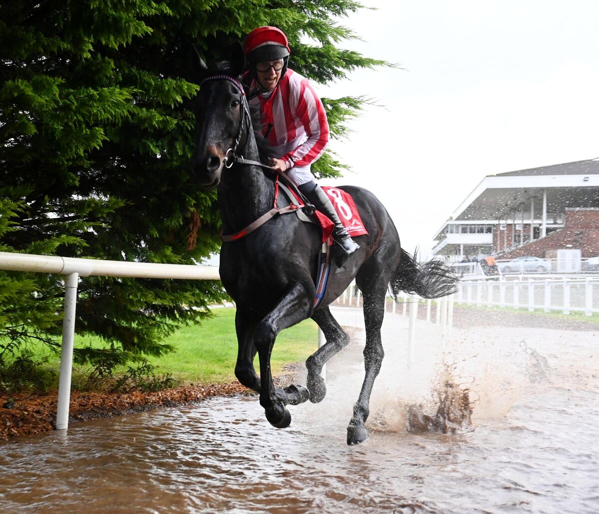"walking on water" Influential Lady and Cathal Landers splash through the water on the canter down before the Co-Op Superstores Handicap Steeplechase