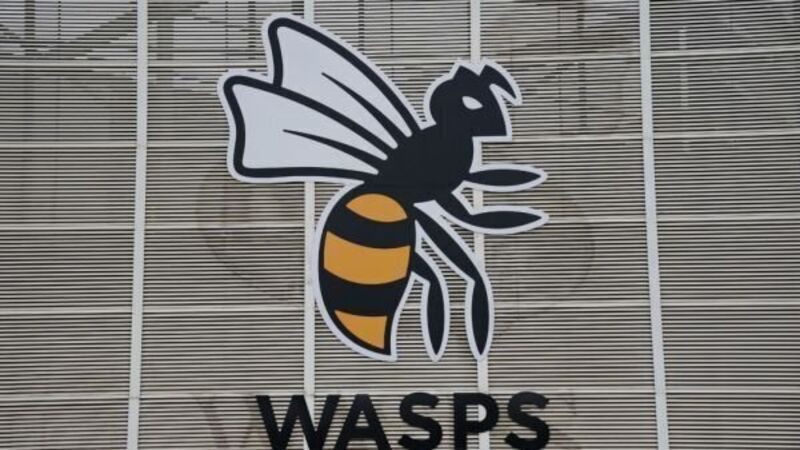 Wasps placed into administration as holding company ceases trading