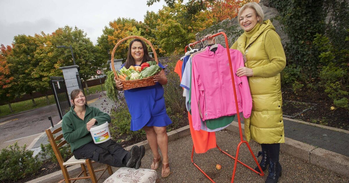 Reuse and waste prevention workshops in Cork County next week - Vimarsana News