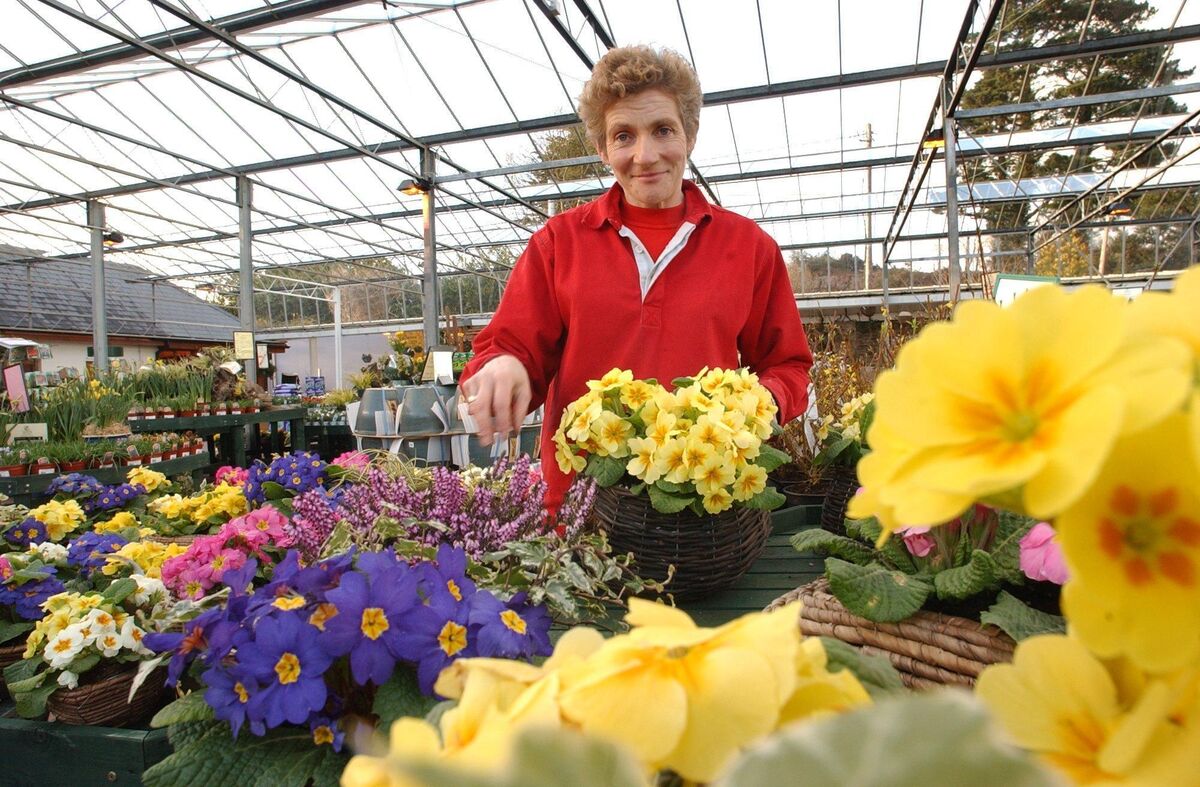 Margaret Griffin of Griffin's Garden Centre, Dripsey.