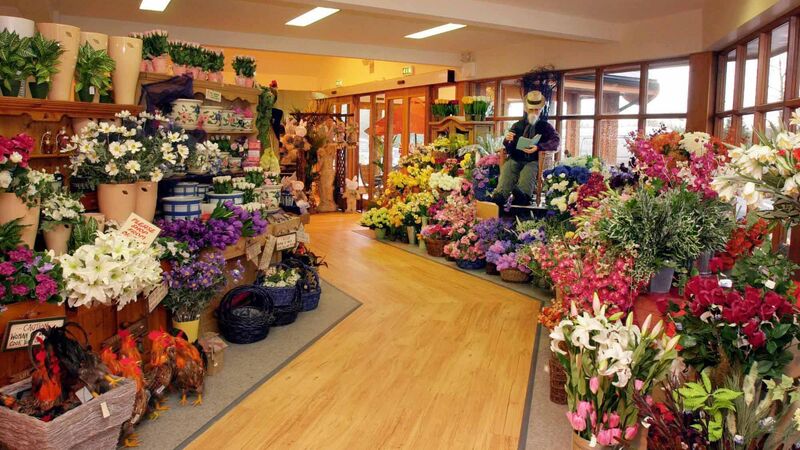 Griffin's Garden Centre reopening this weekend under new name and ownership