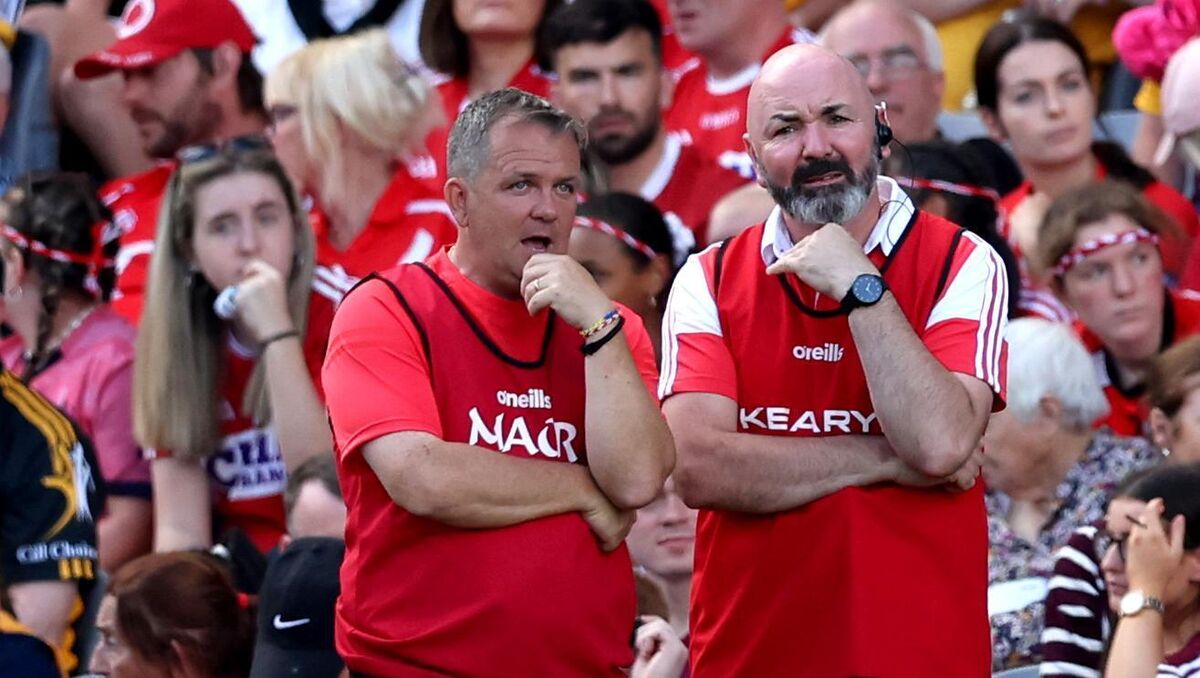 Former Cork camogie coach Davy Fitzgerald and manager Matthew Twomey. Picture: INPHO/James Crombie