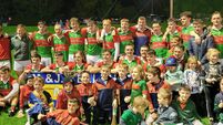Muskerry Junior A Hurling: Ballinora retain their title by seeing off Grenagh
