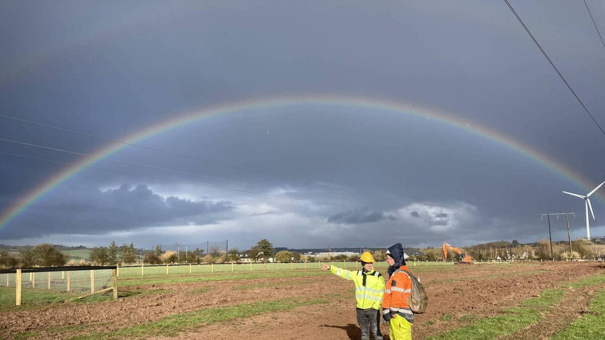 WATCH: Cork's M28 motorway progressing to second phase of prep work before construction