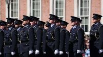 Justice Minister urged to increase Garda numbers to tackle rural crime