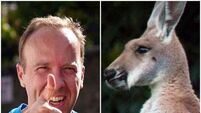 I’m looking forward to Matt Hancock eating a kangaroo’s penis, says local Tory
