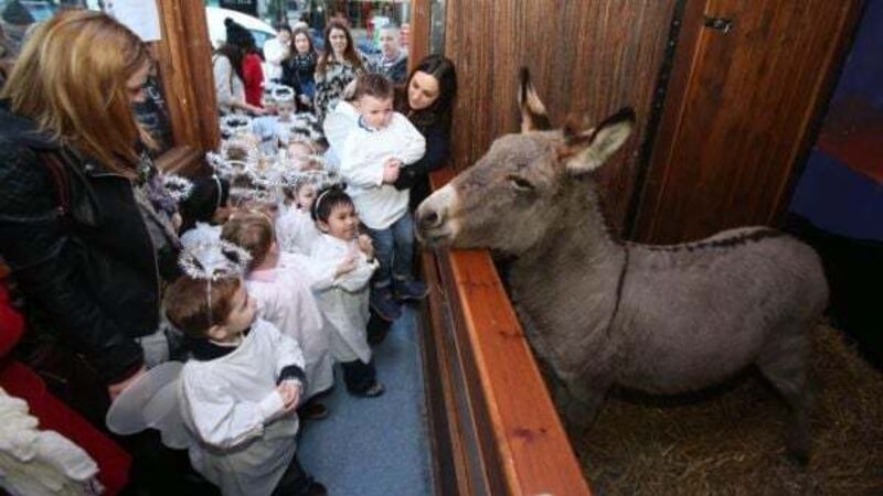Call for common sense to prevail in row over live animal crib