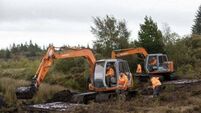 Search of bog for 1975 IRA victim Columba McVeigh is paused for winter