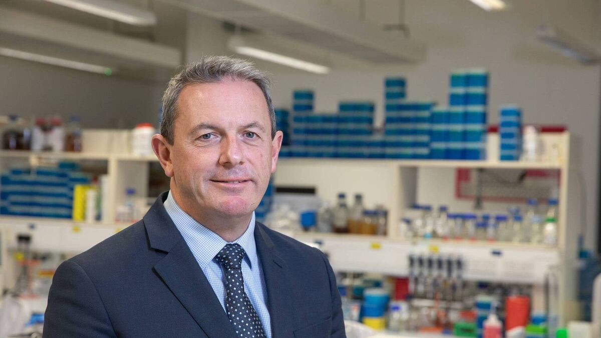 Prestigious award for UCC professor