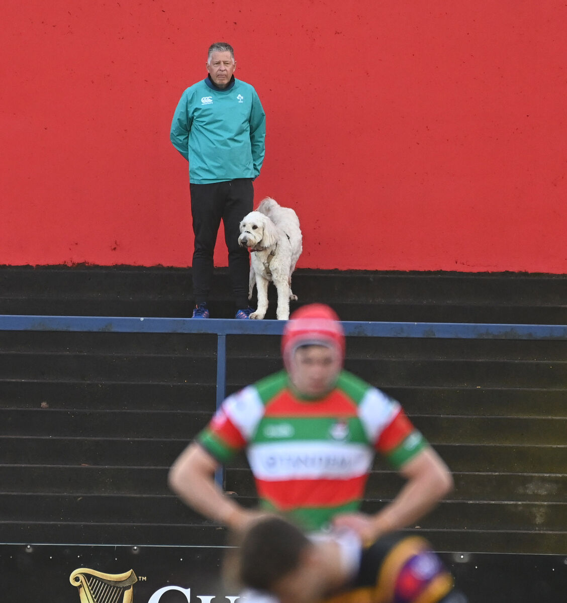 Golfer John McHenry and his dog watching the game. Picture: Eddie O'Hare