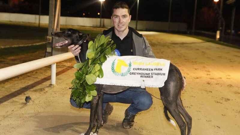 Irish Laurels: Cody comes Good on night that matters most at packed Curraheen Park