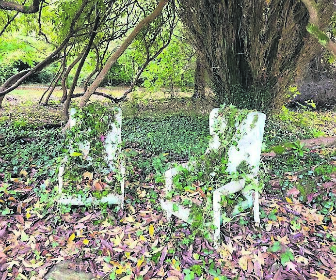  Some quirky features in the garden!