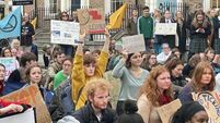 Students accuse government of inaction on climate change at Dáil protest