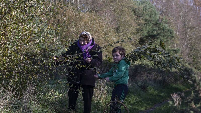 Chance to learn skills of our ancestors at Cork park next week Chance to learn skills of our ancestors at Cork park next week