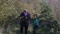 Chance to learn skills of our ancestors at Cork park next week