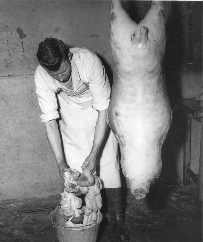 ON THE PIG’S BACK: A worker at O’Reilly’s meat factory in St Philomena’s Road, Gurranabraher, Cork city, in 1953