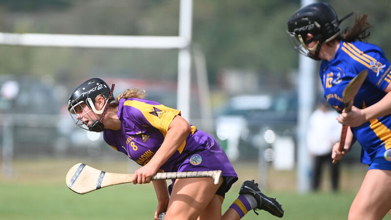 Linda Mellerick on camogie: Cork must use intermediate grade to blood young players Linda Mellerick on camogie: Cork must use intermediate grade to blood young players