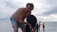 Tributes paid to sea swimmer (60s) who drowned in Co Wicklow