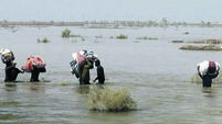 Pakistan Climate Compensation