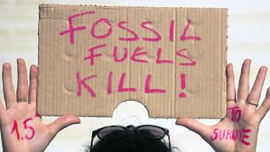 <p class="contextmenu internal_Caption">A demonstrator holds a sign at the COP27 UN Climate Summit in Wein Sharm el-Sheikh, Egypt. (AP Photo/Peter Dejong)</p>