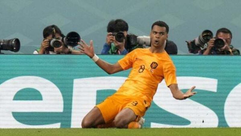Netherlands see off Senegal to seize control of Group A in World Cup Netherlands see off Senegal to seize control of Group A in World Cup