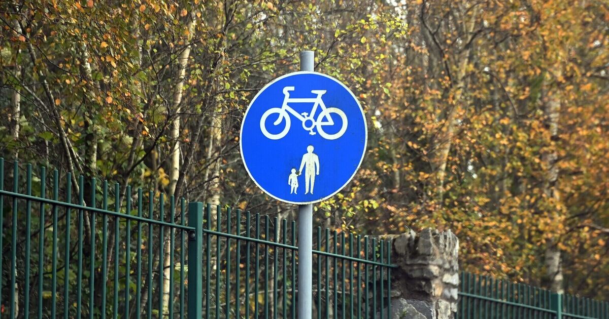 Proposed cycle lane lane in residential Cork city neighbourhood not 'age friendly', claims urban planning expert - Vimarsana News